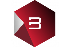 Brandation Maciej Żebrowski