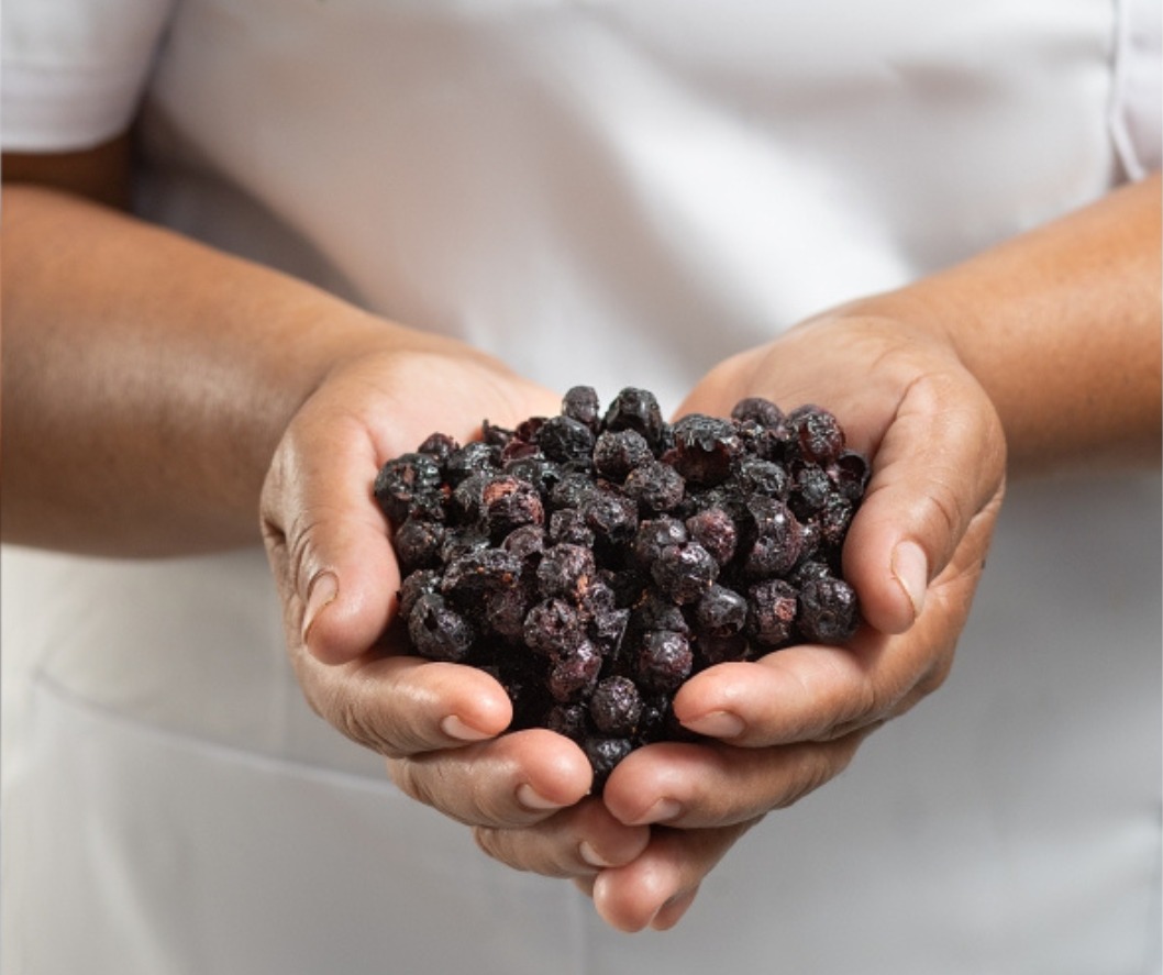 Organic Acai Freeze Dried Powder