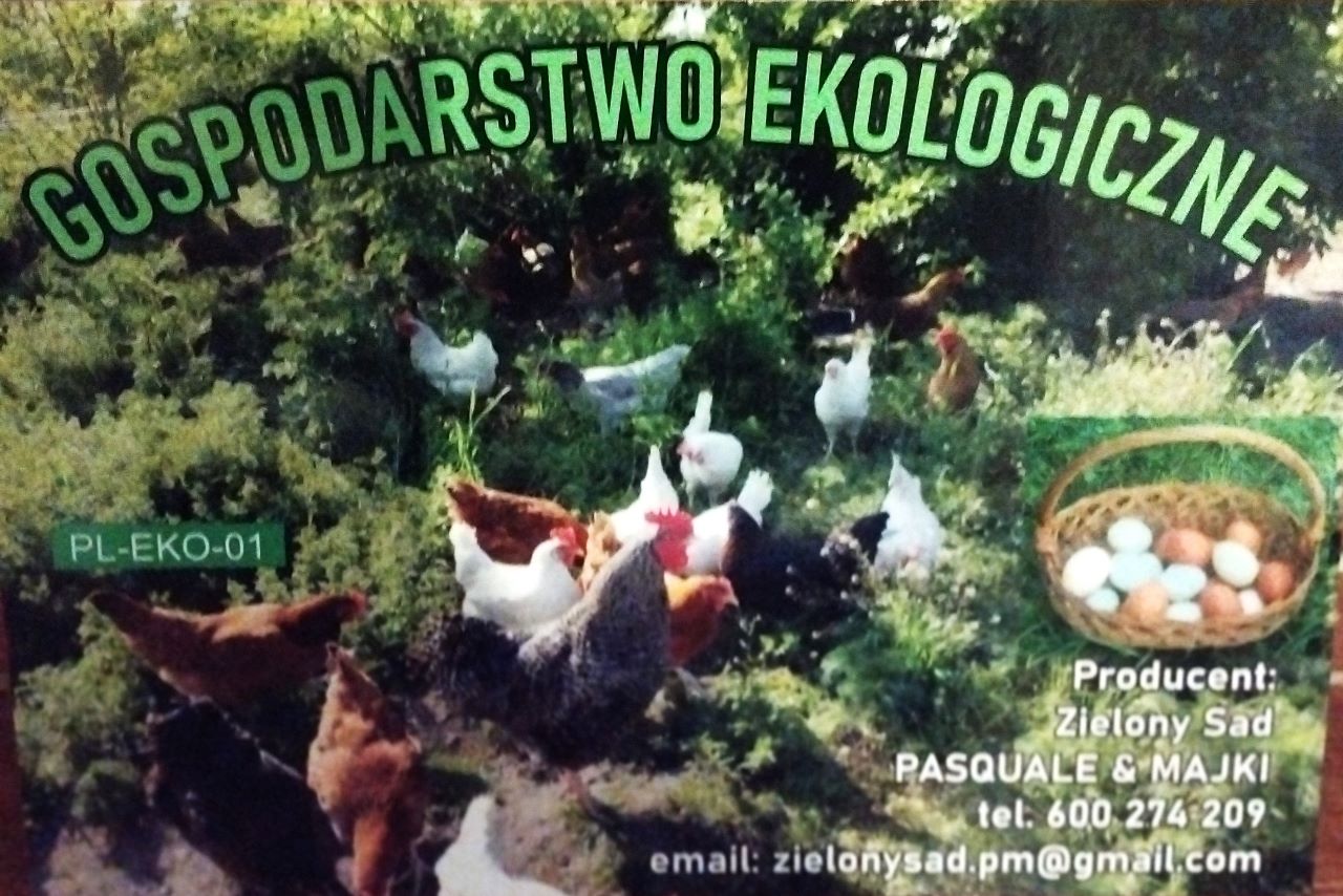 Gospodarstwo ekologiczne