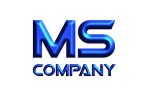 MS COMPANY