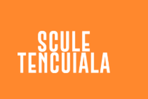 SCULE TENCUIALA S.R.L